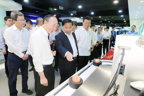 大力培育壯大農業科技領軍企業，加快推進高水平農業科技自立自強