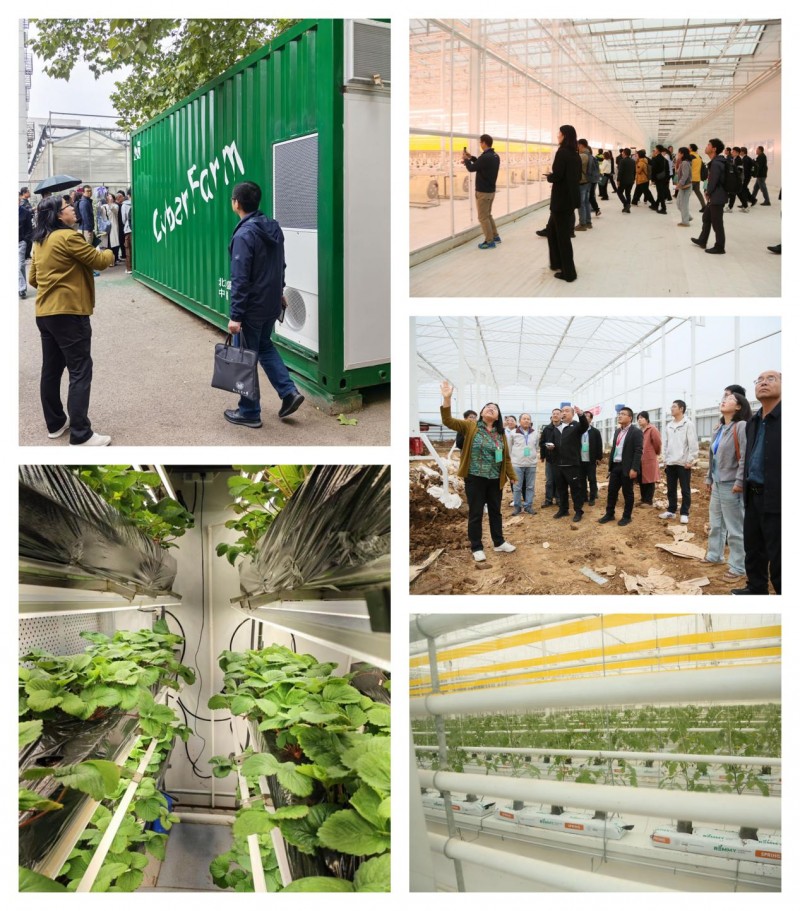 三天盛會繪就產(chǎn)業(yè)新藍(lán)圖 技術(shù)協(xié)同開啟農(nóng)業(yè)新未來 —— 2025年智慧植物工廠技術(shù)研討會綜述