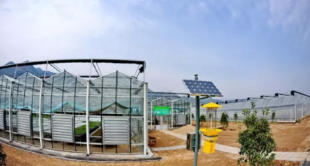 成都探索“互聯(lián)網(wǎng)+農(nóng)業(yè)”新路徑 打造智慧農(nóng)業(yè)科技服務(wù)新生態(tài)