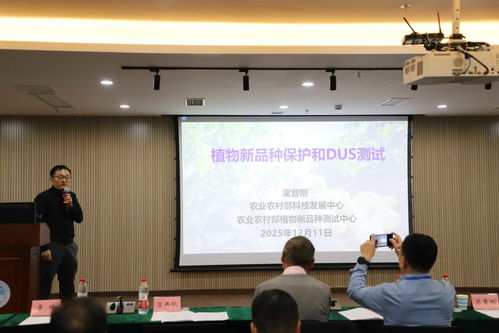 以技術(shù)創(chuàng)新驅(qū)動(dòng)產(chǎn)業(yè)升級(jí) 全國(guó)馬鈴薯種業(yè)高質(zhì)量發(fā)展交流會(huì)在渝召開(kāi)，共探農(nóng)業(yè)科技研發(fā)新路徑