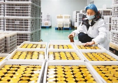 穩(wěn)居第一，小小罐頭闖世界 農(nóng)業(yè)科技研發(fā)鑄就餐桌全球化