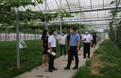 河北省科技廳副廳長(zhǎng)李華峰一行赴中國(guó)農(nóng)業(yè)大學(xué)涿州教學(xué)實(shí)驗(yàn)場(chǎng)調(diào)研指導(dǎo)重點(diǎn)科技項(xiàng)目建設(shè)