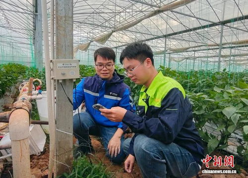 科技賦能新農(nóng)人，廣西電信助力鄉(xiāng)村振興新篇章